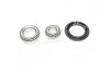 Підшипник маточини DAEWOO LANOS задн. (Complex) COMPLEX AUTOMOTIVE BEARINGS Sp.z.o.o. CX523 (фото 1)
