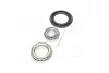 Підшипник маточини DAEWOO LANOS задн. (Complex) COMPLEX AUTOMOTIVE BEARINGS Sp.z.o.o. CX523 (фото 2)
