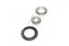 Підшипник маточини DAEWOO LANOS задн. (Complex) COMPLEX AUTOMOTIVE BEARINGS Sp.z.o.o. CX523 (фото 4)
