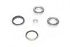 Подшипник ступицы KIA, MAZDA передн. (выр-во Complex) COMPLEX AUTOMOTIVE BEARINGS Sp.z.o.o. CX094 (фото 2)
