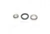 Подшипник ступицы FORD передн./задн. (выр-во Complex) COMPLEX AUTOMOTIVE BEARINGS Sp.z.o.o. CX027 (фото 1)