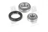 Подшипник ступицы FORD передн./задн. (выр-во Complex) COMPLEX AUTOMOTIVE BEARINGS Sp.z.o.o. CX005 (фото 1)