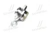 Подшипник ступицы SKODA FABIA задн. (выр-во Complex) COMPLEX AUTOMOTIVE BEARINGS Sp.z.o.o. CX515 (фото 2)