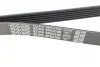 Ремінь поликлин. DAEWOO Musso (FJ) 3.2 (ви-во) DAYCO 6PK2100 (фото 3)