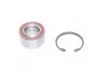 Подшипник ступицы FIAT передн. (выр-во Complex) COMPLEX AUTOMOTIVE BEARINGS Sp.z.o.o. CX069 (фото 1)