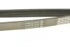 Ремень поликлин. CHEVROLET Epica (выр-во) DAYCO 6PK1835 (фото 3)