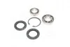 Подшипник ступицы VW T3 задн. (выр-во Complex) COMPLEX AUTOMOTIVE BEARINGS Sp.z.o.o. CX061 (фото 4)