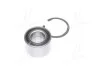 Подшипник ступицы OPEL задн. (выр-во Complex) COMPLEX AUTOMOTIVE BEARINGS Sp.z.o.o. CX013 (фото 2)