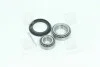Подшипник ступицы VW задн. (выр-во Complex) COMPLEX AUTOMOTIVE BEARINGS Sp.z.o.o. CX010 (фото 1)