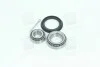 Подшипник ступицы VW задн. (выр-во Complex) COMPLEX AUTOMOTIVE BEARINGS Sp.z.o.o. CX010 (фото 2)