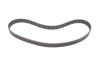 Ремень зубч. ГРМ 123 x 24.0 (выр-во) DAYCO 94142 (фото 5)