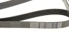 Ремень поликлиновый (вы-во) DAYCO 7PK2250 (фото 4)