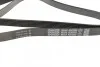 Ремень поликлиновый (вы-во) DAYCO 6PK2203 (фото 2)