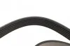 Ремень поликлиновый (вы-во) DAYCO 6PK2203 (фото 3)