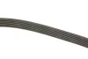 Ремень поликлиновый (вы-во) DAYCO 6PK2000 (фото 3)
