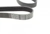 Ремень поликлиновый (вы-во) DAYCO 6PK1744 (фото 2)