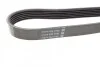Ремень поликлиновый (вы-во) DAYCO 6PK1744 (фото 3)