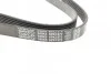 Ремень поликлиновый (вы-во) DAYCO 6PK1372 (фото 2)