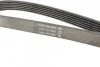 Ремень поликлиновый (вы-во) DAYCO 6PK1372 (фото 3)