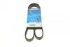 Ремень поликлиновый (вы-во) DAYCO 6PK1217 (фото 1)