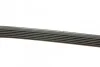 Ремень поликлиновый (вы-во) DAYCO 6PK1217 (фото 2)