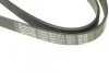 Ремень поликлиновый (вы-во) DAYCO 6PK1217 (фото 3)