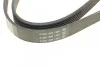 Ремень поликлиновый (вы-во) DAYCO 6PK1217 (фото 4)