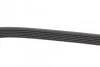 Ремень поликлиновый (вы-во) DAYCO 6PK850 (фото 2)