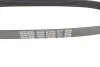 Ремень поликлиновый (вы-во) DAYCO 6PK850 (фото 4)