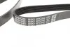 Ремень поликлин. VW (выр-во) DAYCO 6PK2240 (фото 3)