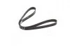 Ремень поликлиновый (Выр-во) DAYCO 6PK1117S (фото 2)