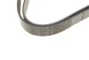 Ремень поликлиновый (Вы-во) DAYCO 7PK1673S (фото 4)