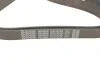 Ремень поликлиновый (Вы-во) DAYCO 7PK1673S (фото 5)