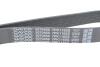 Ремень поликлиновый (Вы-во) DAYCO 7PK1165S (фото 4)
