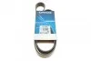 Ремень поликлиновый (Вы-во) DAYCO 7PK1085S (фото 1)
