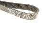 Ремень поликлиновый (Вы-во) DAYCO 7PK1085S (фото 2)
