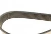 Ремень поликлиновый (Вы-во) DAYCO 7PK1085S (фото 4)