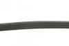 Ремень поликлиновый (Вы-во) DAYCO 6PK2220K (фото 2)