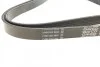 Ремень поликлиновый (Вы-во) DAYCO 6PK2155S (фото 2)