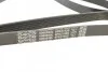 Ремень поликлиновый (Вы-во) DAYCO 6PK2155S (фото 3)