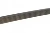 Ремень поликлиновый (Вы-во) DAYCO 6PK2155S (фото 4)