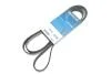 Ремень поликлиновый (Вы-во) DAYCO 6PK2063S (фото 2)
