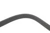 Ремень поликлиновый (Вы-во) DAYCO 6PK2063S (фото 3)