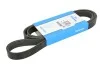 Ремень поликлиновый (Вы-во) DAYCO 6PK1685 (фото 1)