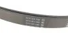 Ремінь поліклин. (вир-во) DAYCO 7PK2711S (фото 3)