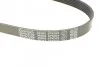 Ремень поликлин. (выр-во) DAYCO 6PK923 (фото 4)