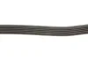 Ремень поликлин. (выр-во) DAYCO 6PK2210 (фото 3)