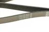 Ремень поликлин. (выр-во) DAYCO 6PK2020 (фото 4)