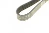 Ремень поликлин. (выр-во) DAYCO 6PK1613 (фото 3)