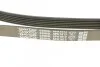 Ремень поликлин. (выр-во) DAYCO 6PK1613 (фото 4)